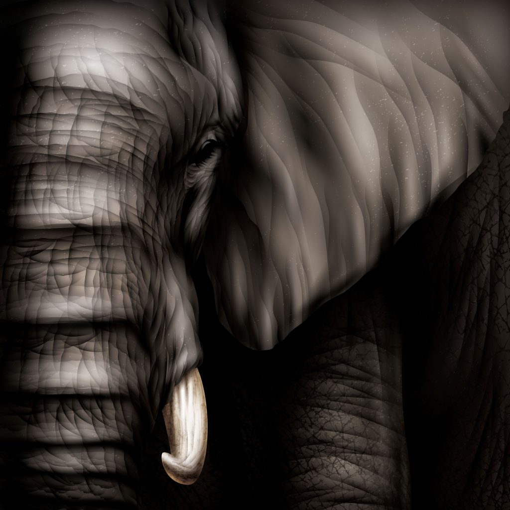 Business Development Strategy