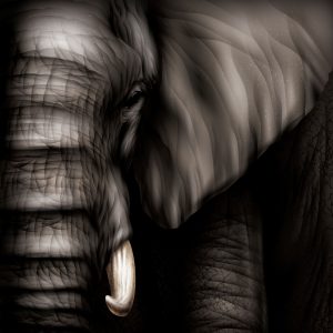 Business Development Strategy