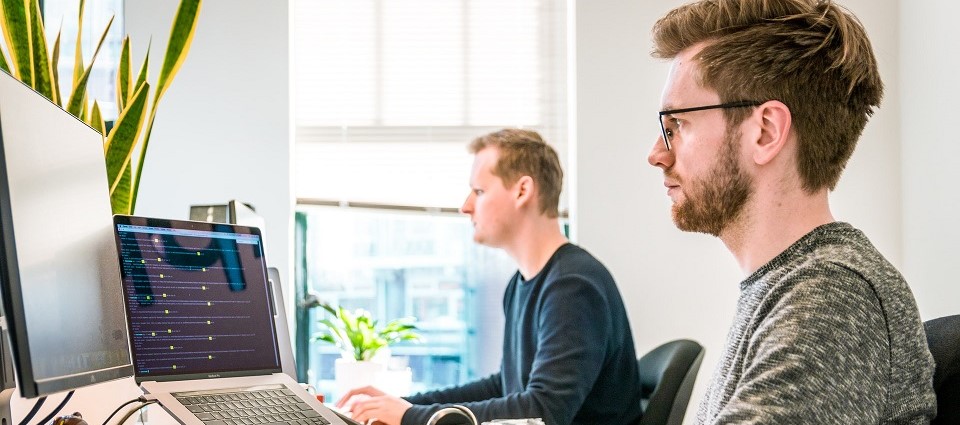 Skills-based Background vs. Educational Attainment