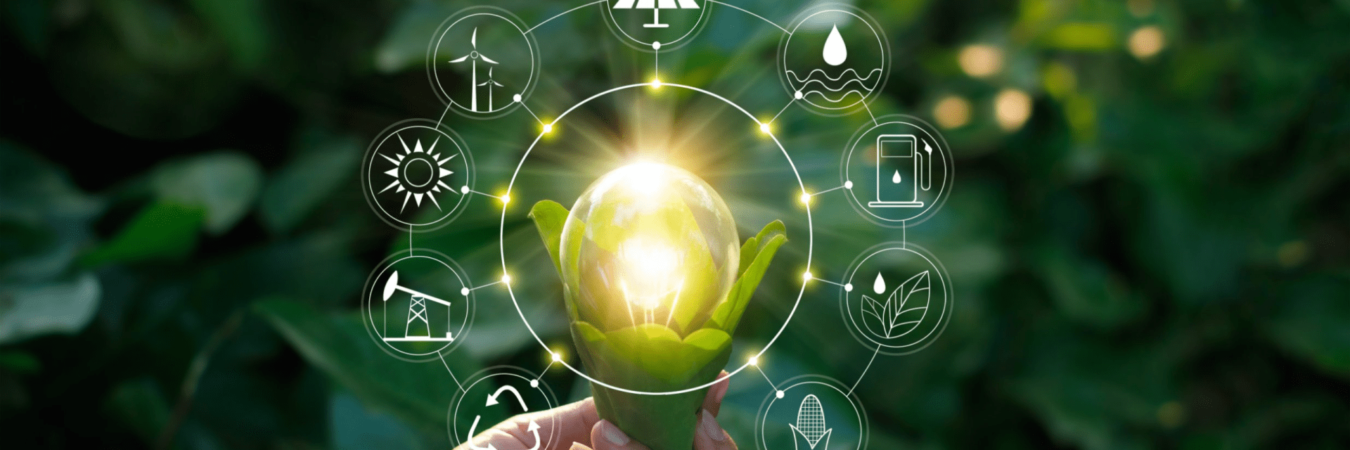 How to Incorporate Sustainable Business Practices as Part of Business Strategy.