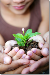 Innovation and Growth